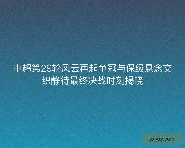 中超第29轮风云再起争冠与保级悬念交织静待最终决战时刻揭晓