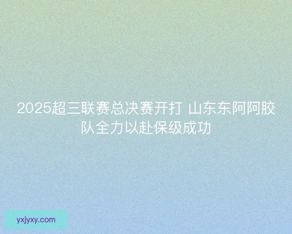 2025超三联赛总决赛开打 山东东阿阿胶队全力以赴保级成功