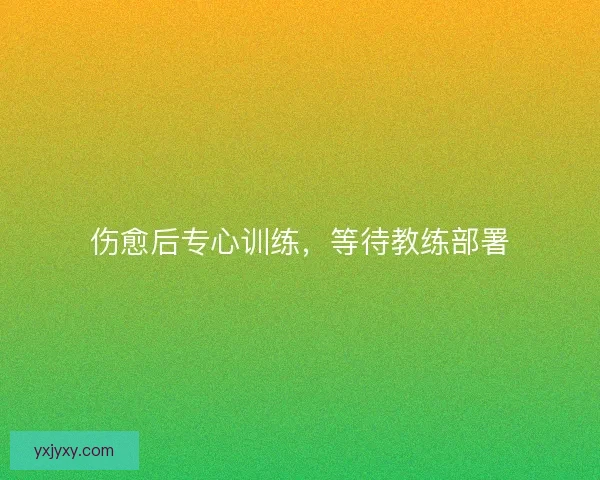 伤愈后专心训练，等待教练部署
